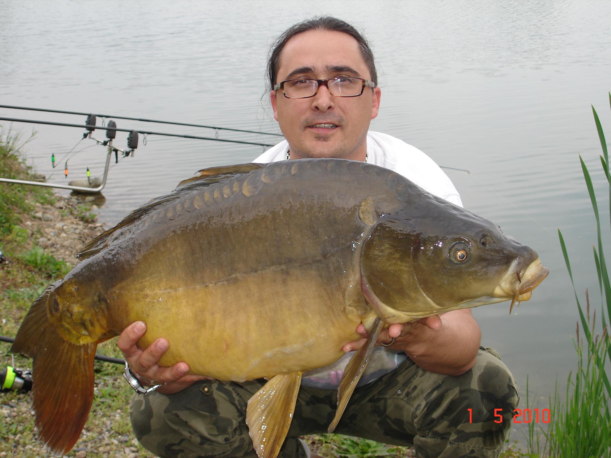 THE BIGS OF 2010 - p1000080.JPG